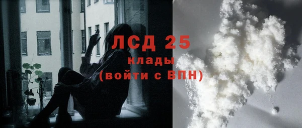 молекула духа Белая Холуница