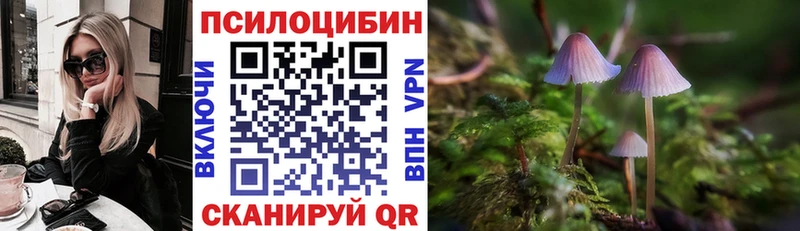 Псилоцибиновые грибы прущие грибы  Лебедянь 