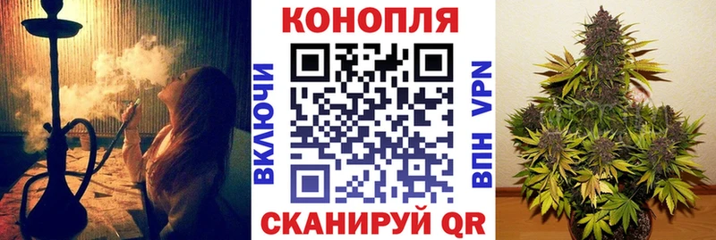 Бошки марихуана конопля  как найти наркотики  Лебедянь 
